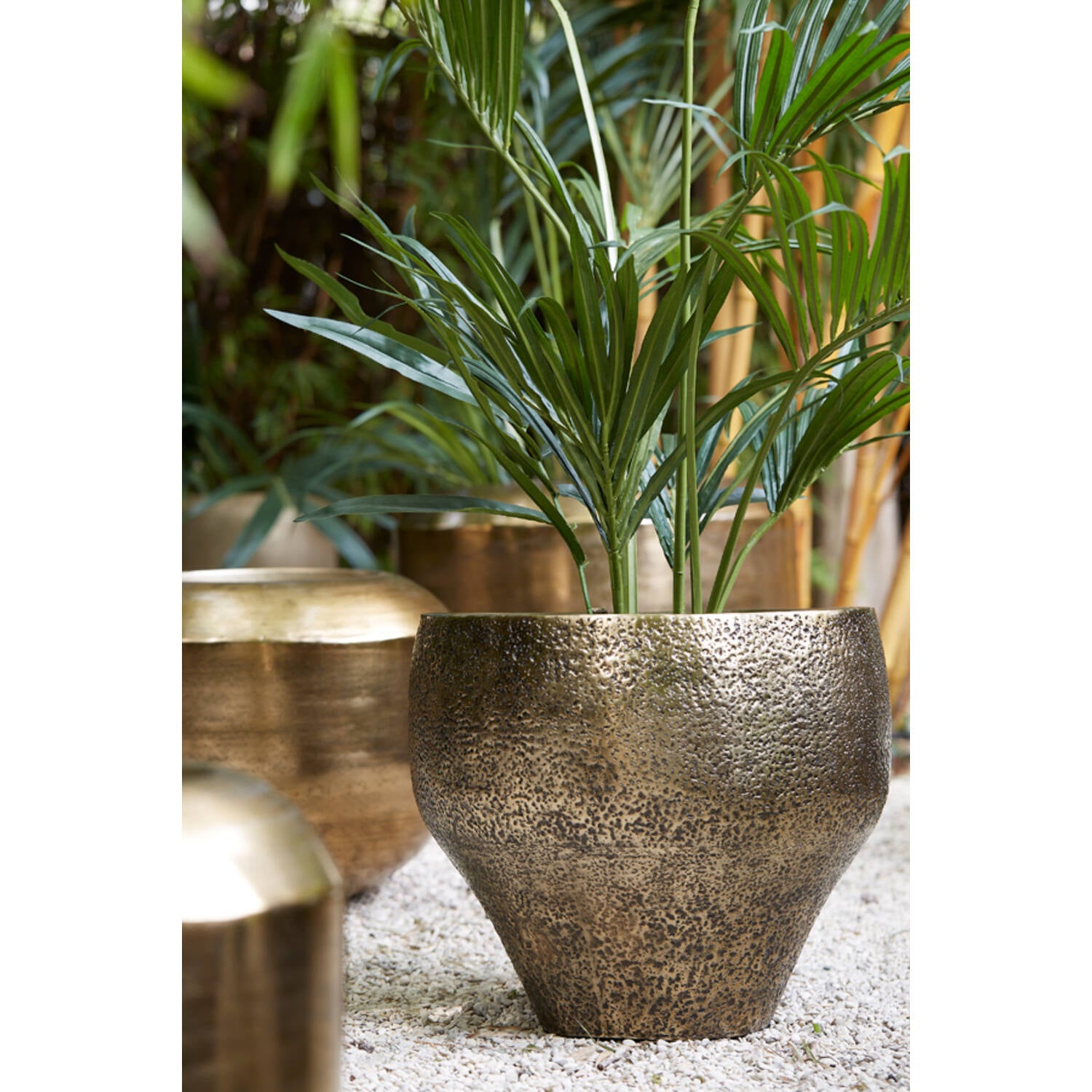 Nancy's Mameda Flower Pot - Set of 2 - Plant Pot - Bronze - Steel