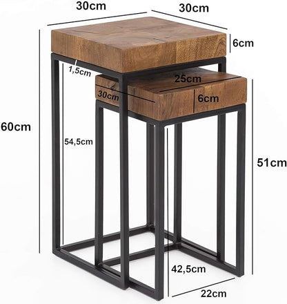 Nancy's Purade Salontafel Set - Bijzettafels - Koffietafel - Massief Sheesham Hout / Staal