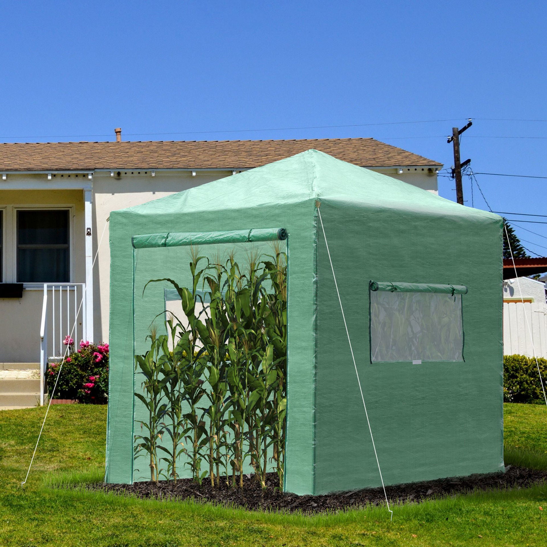 Nancy's Rum Point Greenhouse Film - Groen - Staal, Pp - 94,48 cm x 70,86 cm x 94,48 cm