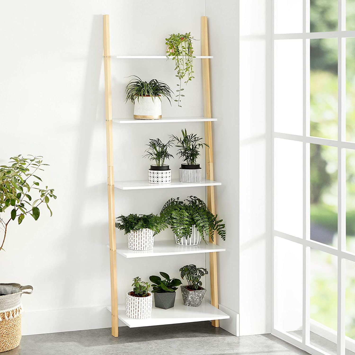 Nancy's Oxford Ladderkast - Boekenkast - Ladderplank - 5 Niveaus - 60 x 35 x 171 cm - Massief Houten Frame - Mat Wit - Natuurlijk